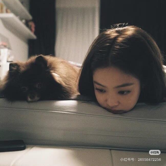 俏俏的眉毛日记