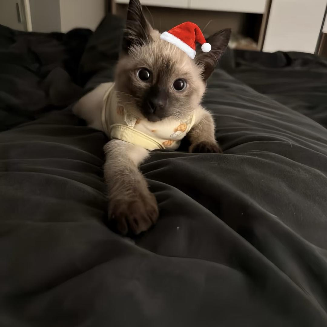 一个moment就足够