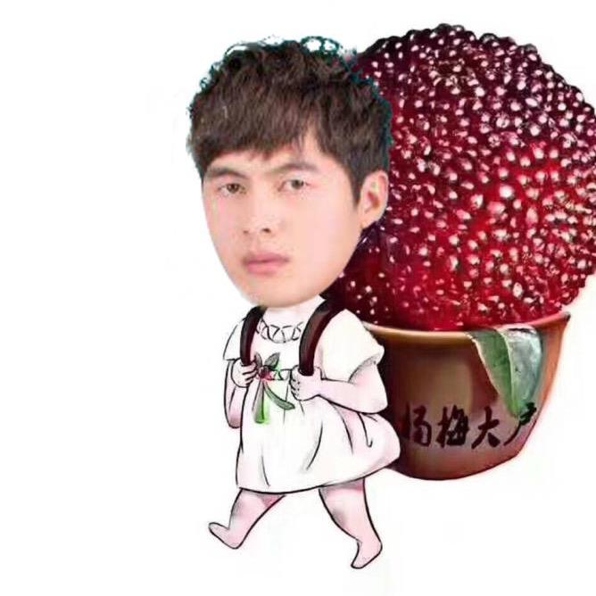 胡走游飞