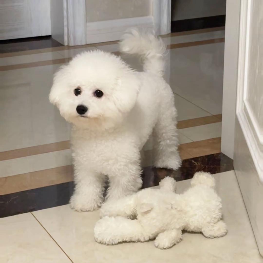 發財.