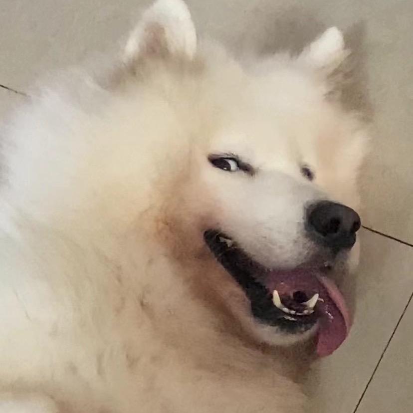 #八岁的杨妹妹#