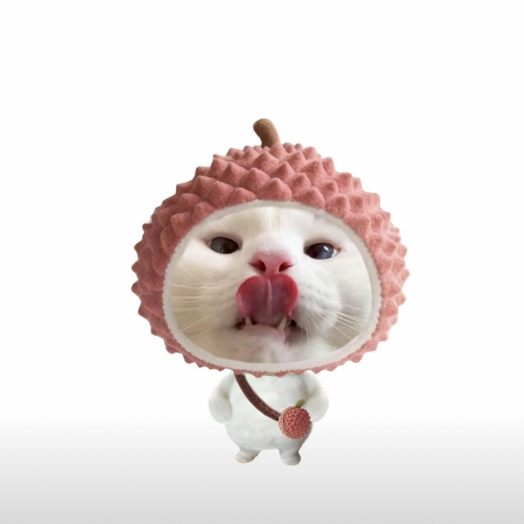 1🐾