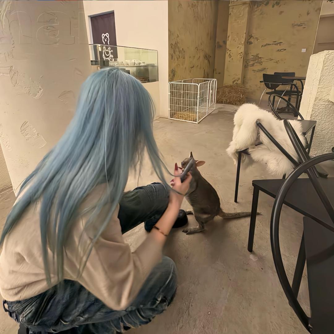 F淑涵