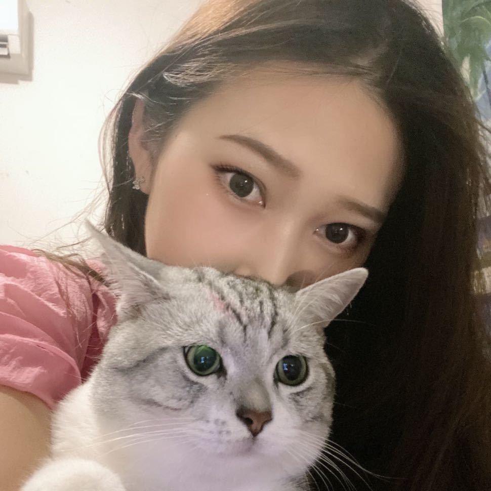 陳（发财好运版）