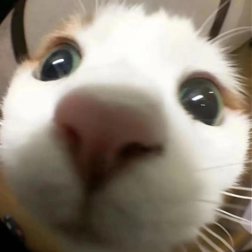 蜡笔小欣