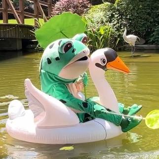呱兮兮🐸