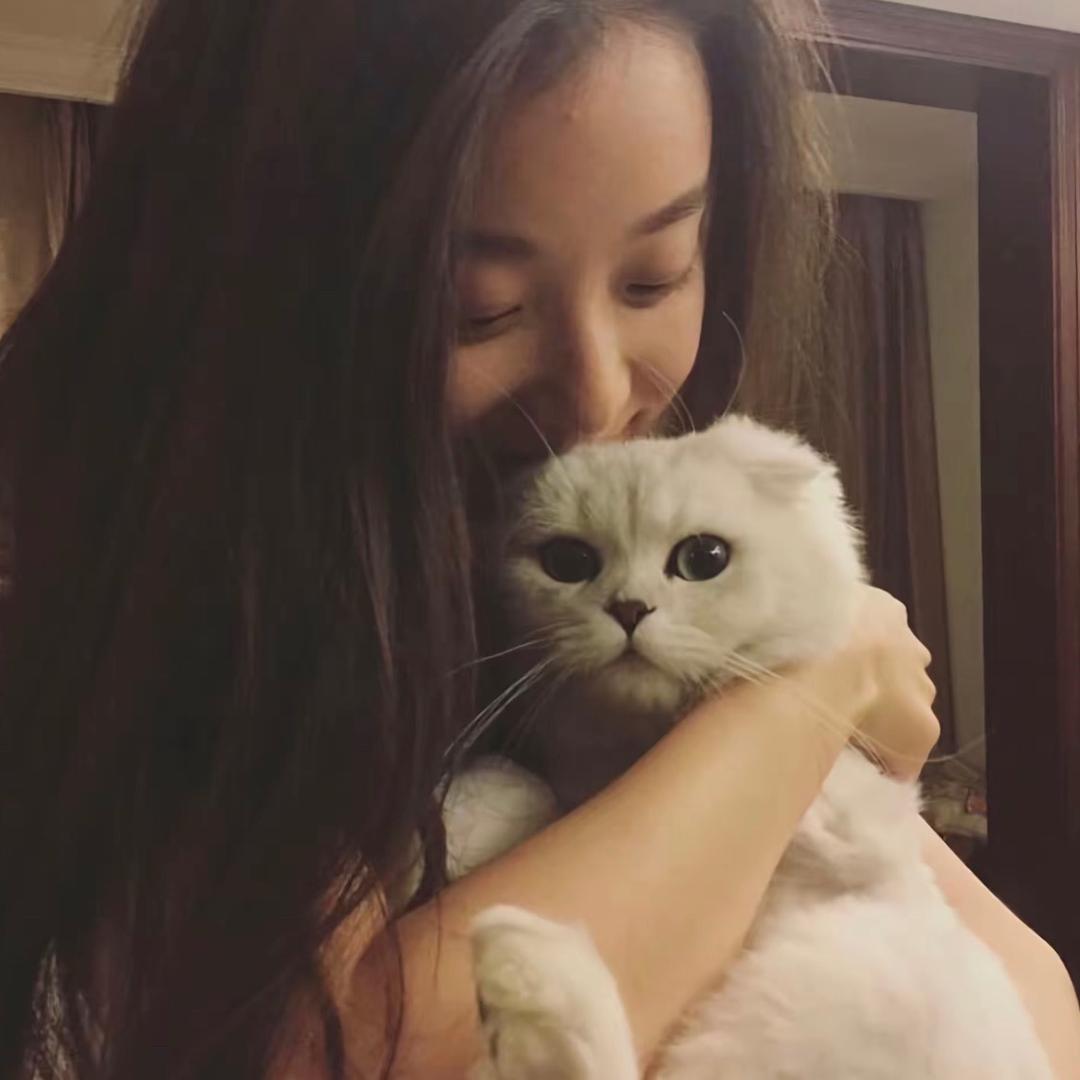 酸刘刘