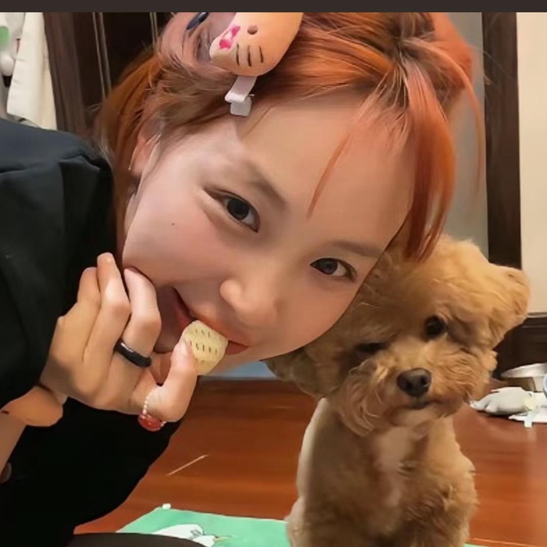 -赵赵7081