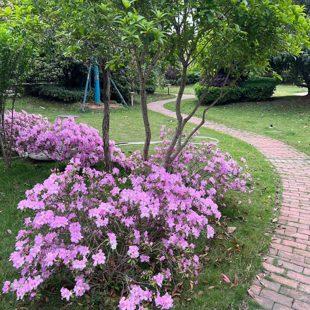 建国车行  小瑶瑶