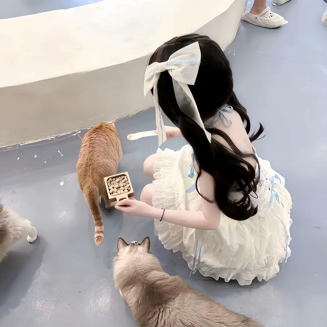 呆呆熊