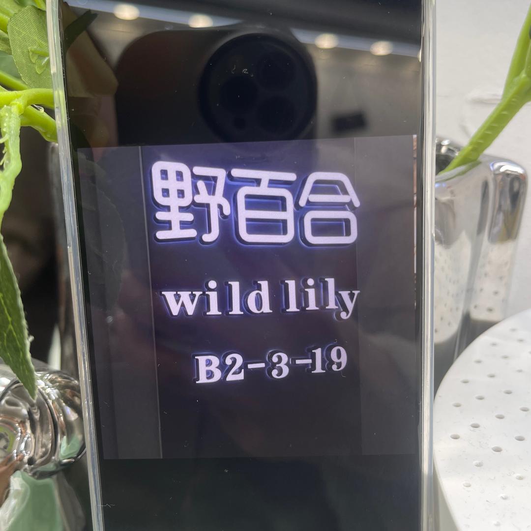 台州路桥野百合女装批发