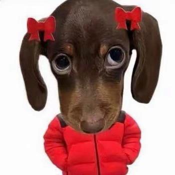 姜了个姜