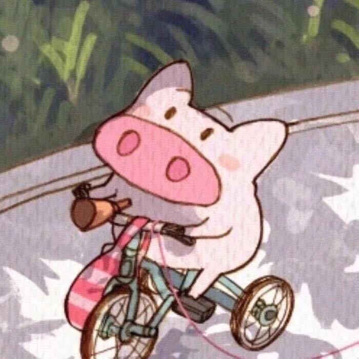 星星盖饭🌟✨