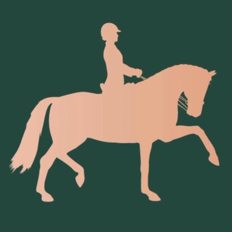 DressagePlus