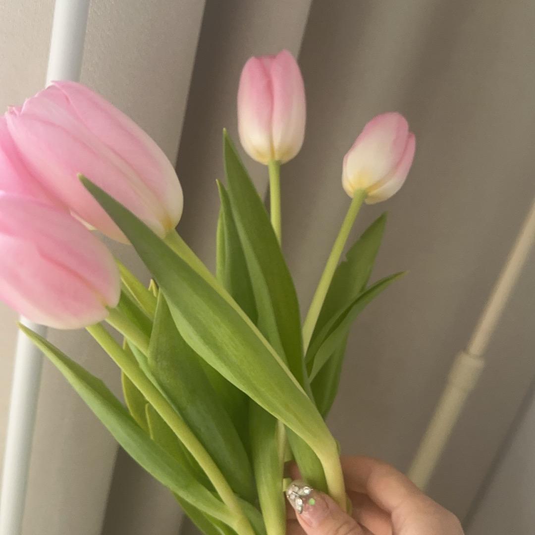Eliauk 暴富