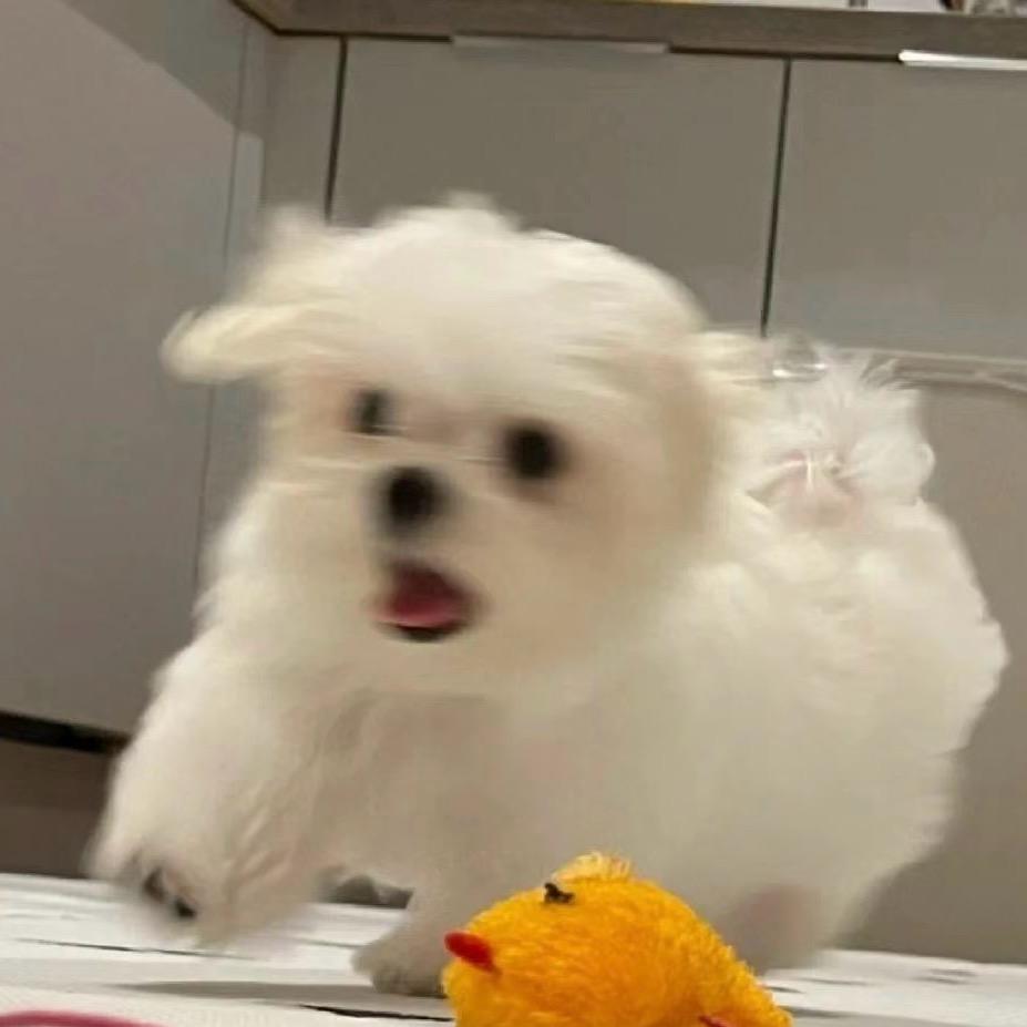 M .