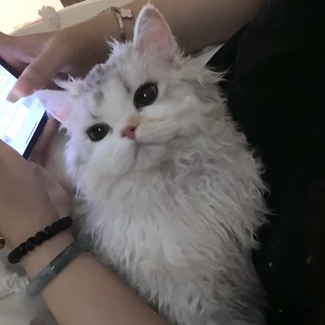 炼乳小包