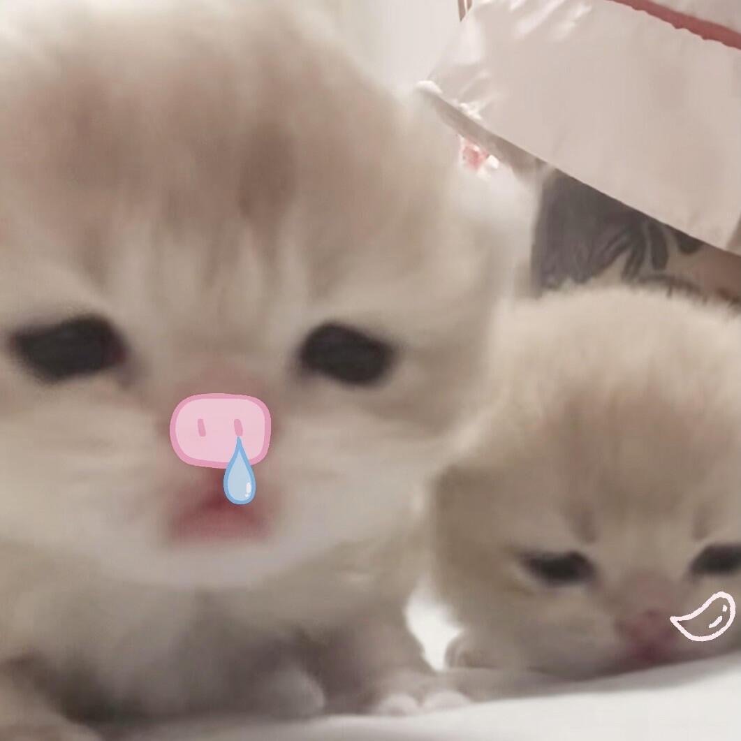 其实你呆呆的很可爱