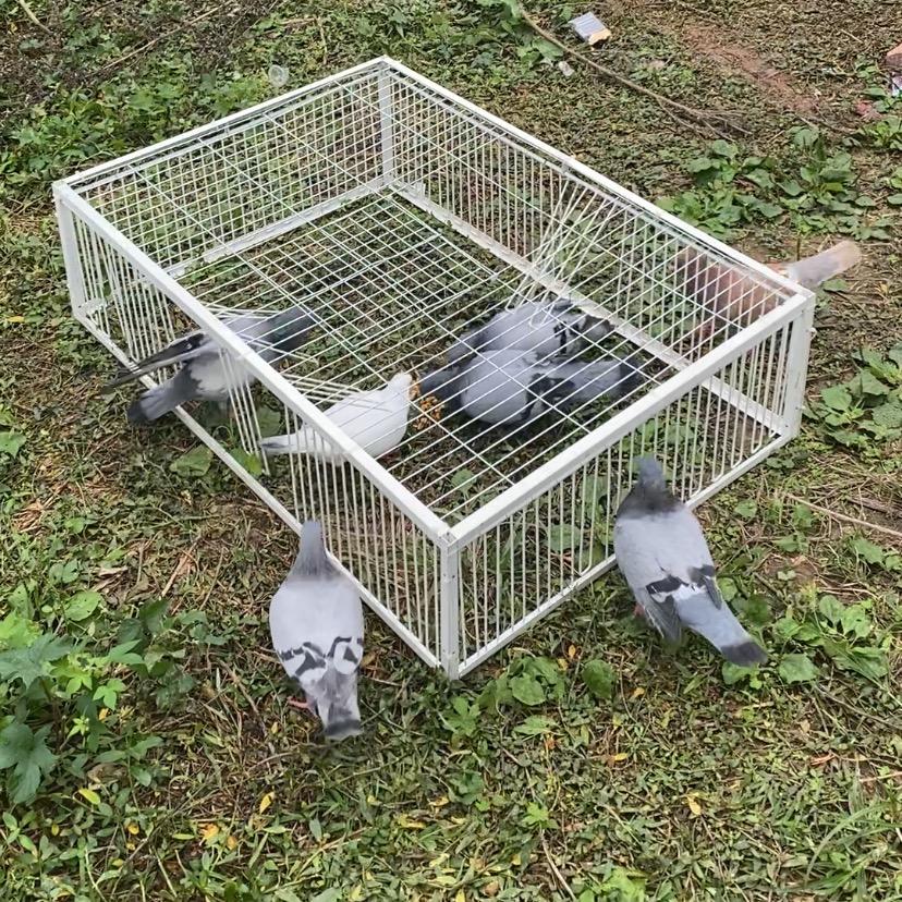 户外养殖工具