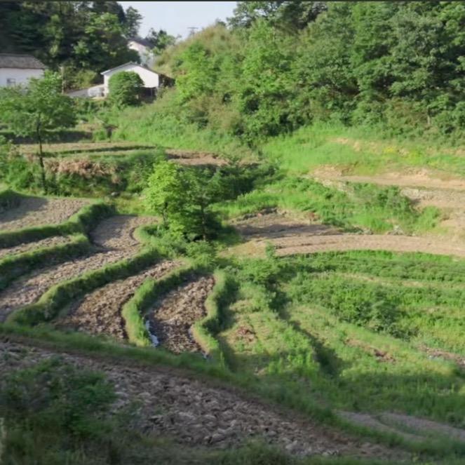 农村生活园