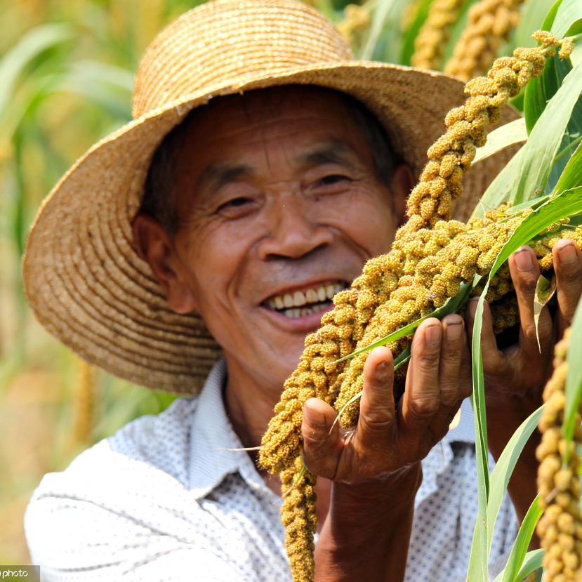 锄安达农资旗舰店