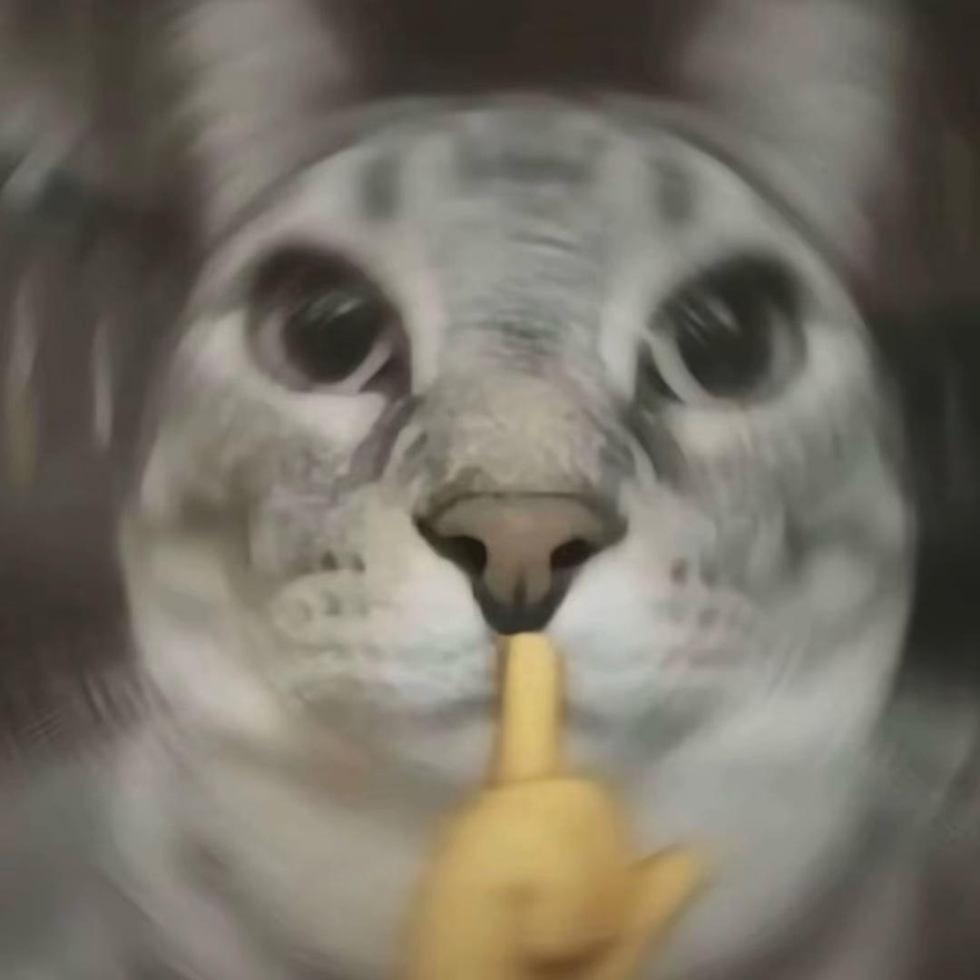 璐璐大王