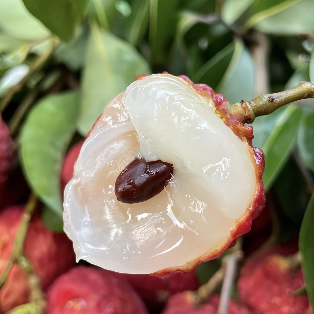 广州市增城悦华特产