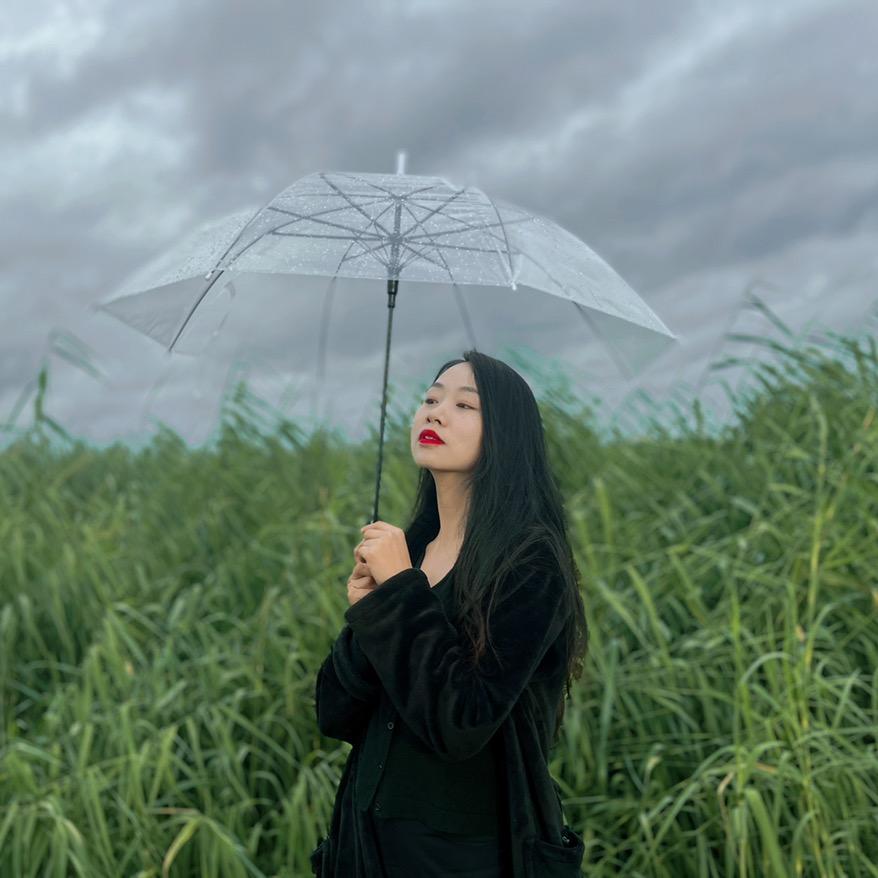 云南金凤子