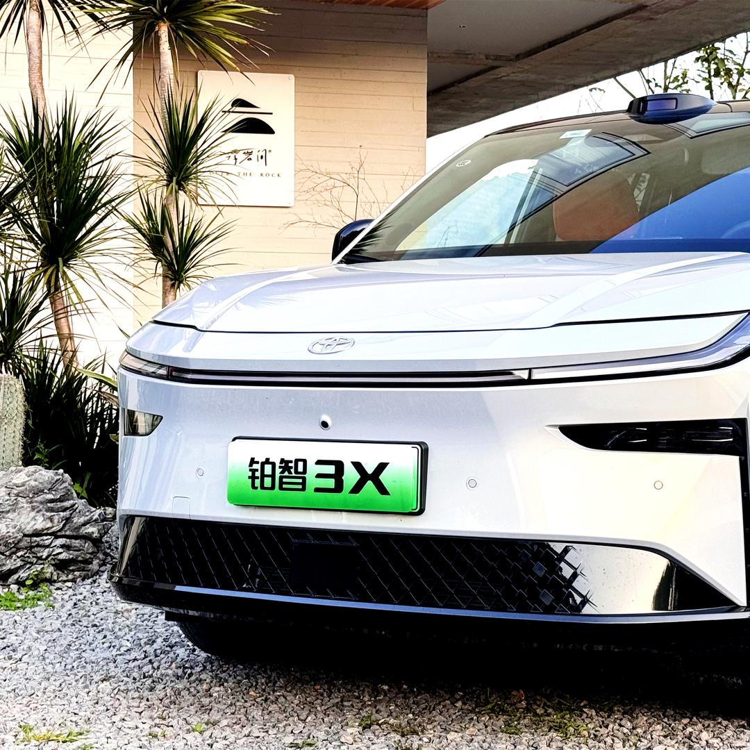 铂智3X报价官丨婷婷