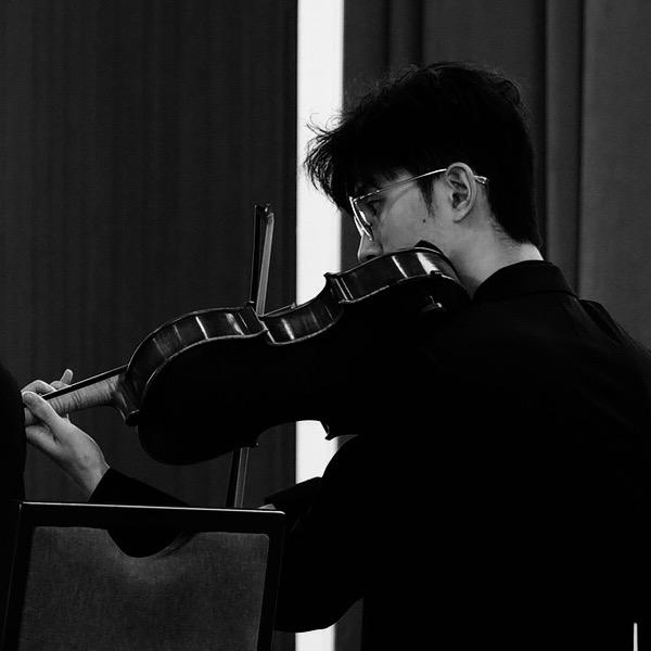小马Viola🎻