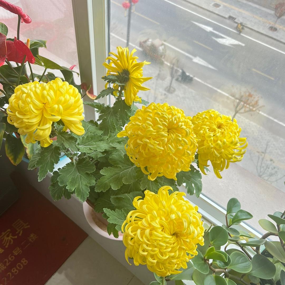 🌈后来
