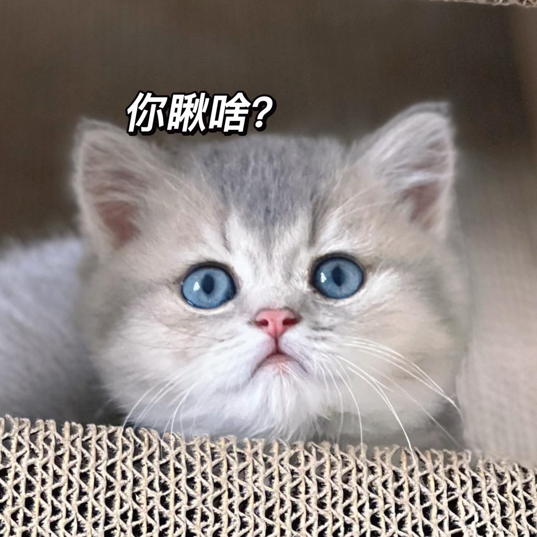 我叫多尔衮