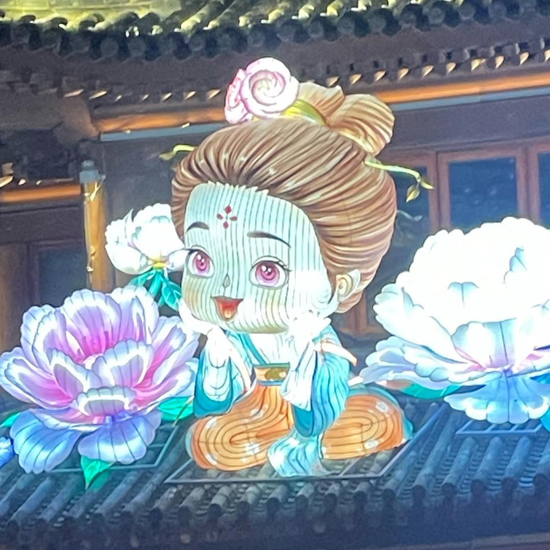 未来可期🌾
