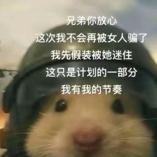 枳实