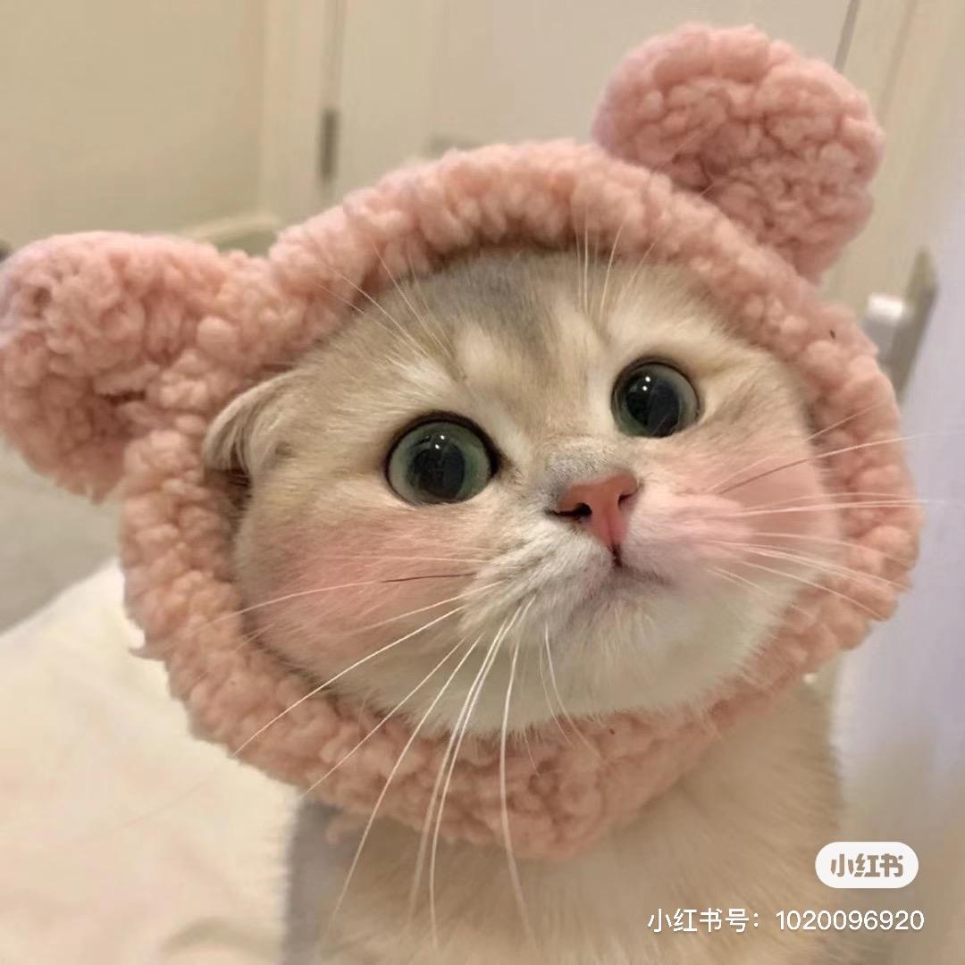 🌈喵喵子-手工穿戴甲