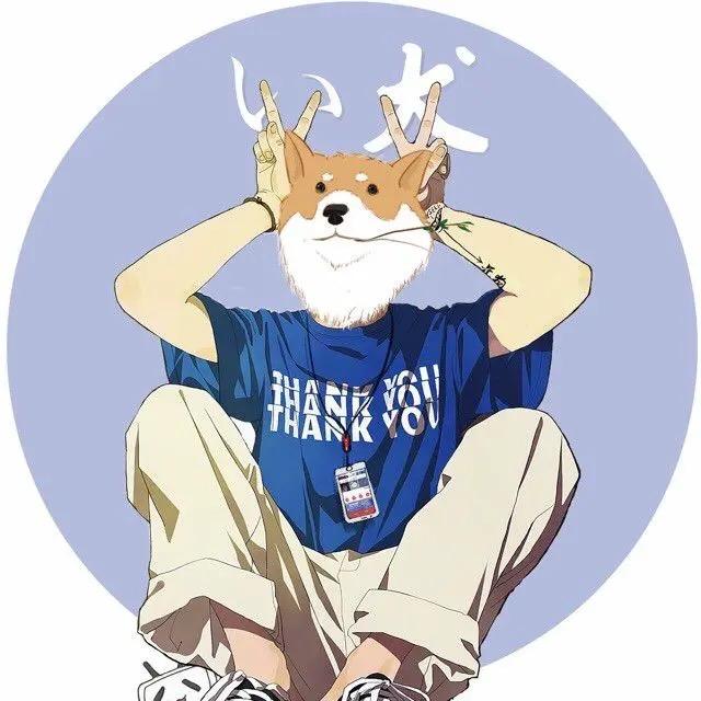 机智的呆狗