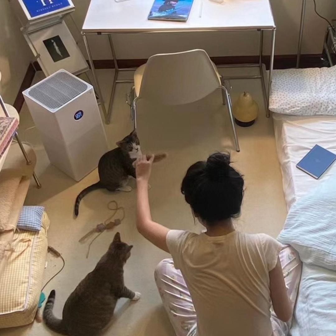 焕新日记