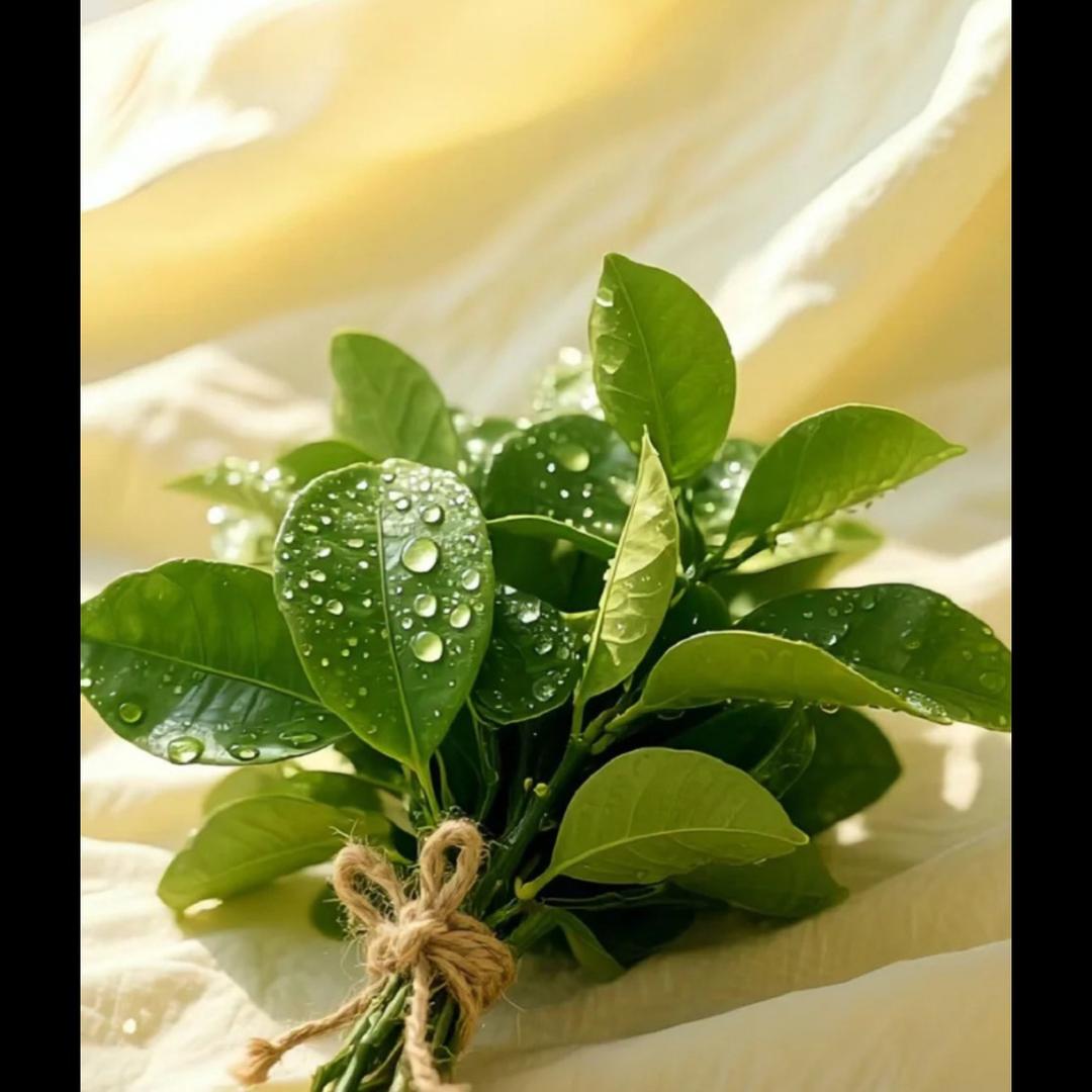 曼曼。@_@跟着感觉走