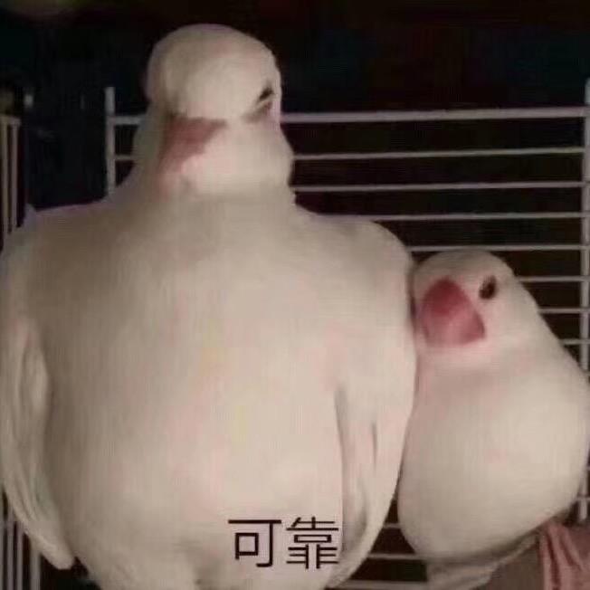 饮食宝典