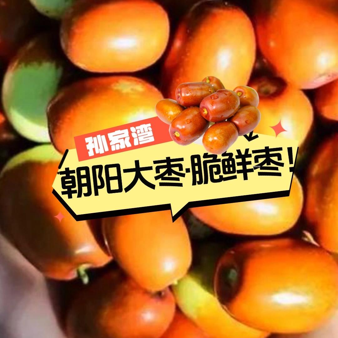 朝阳大枣圆圆果园
