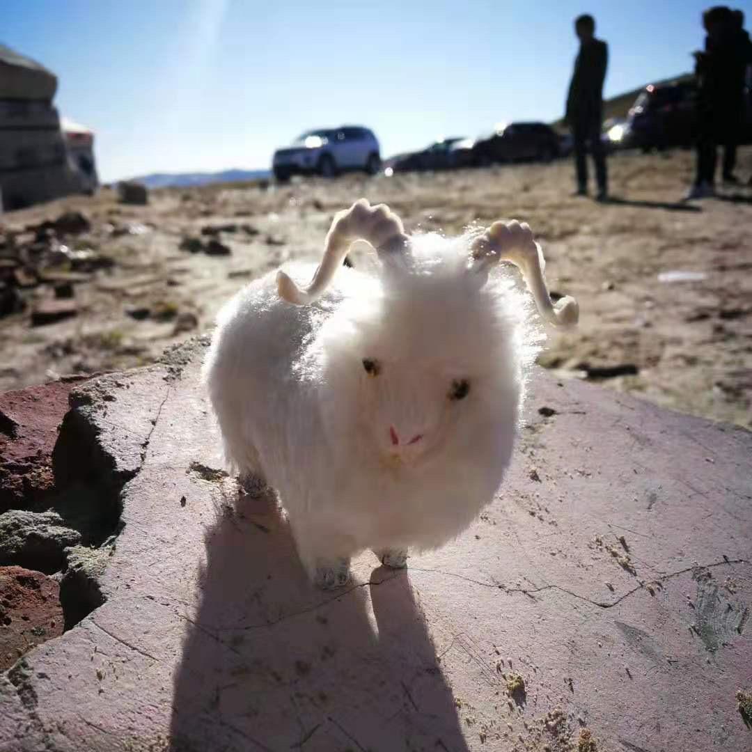 🃏石太浪೭(˵ˉ̴͒ꇴˉ̴͒˵)౨