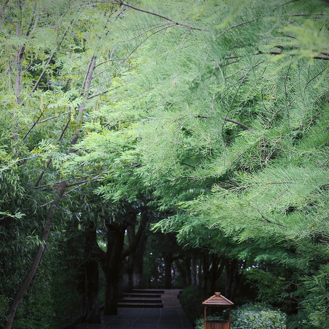 砚知