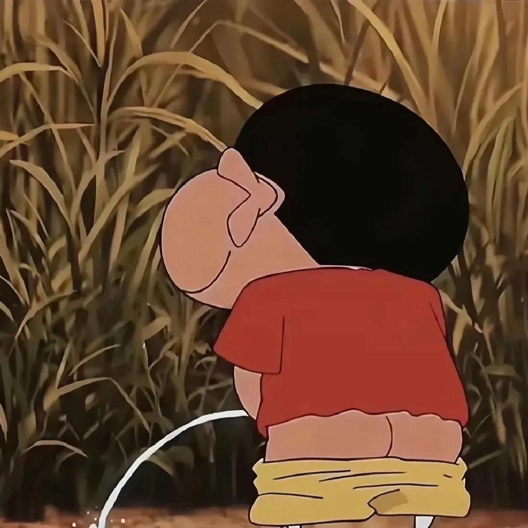 山猪没吃过细糠