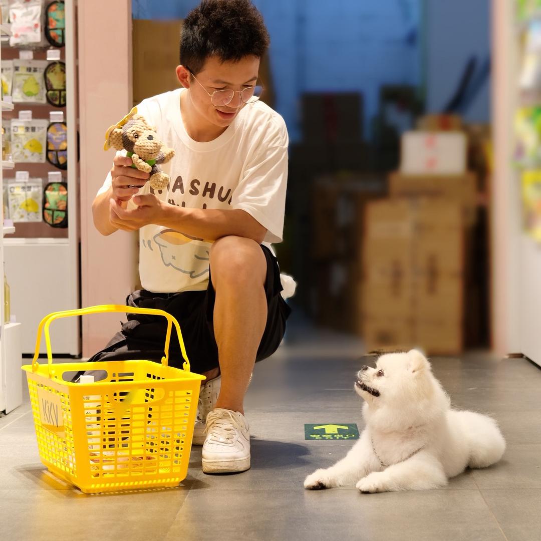 杭州阿布训犬
