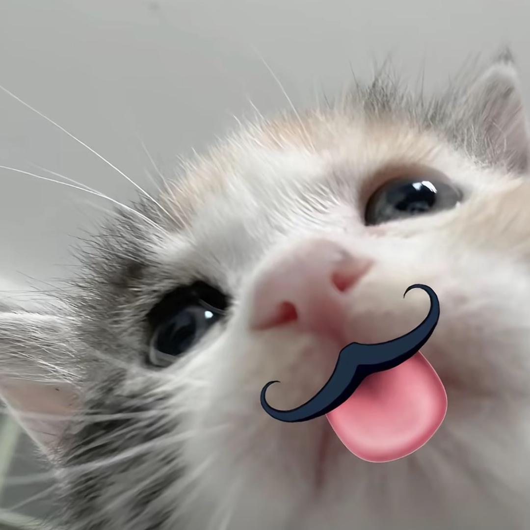 真美羽