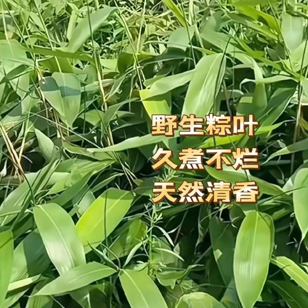 村里好物
