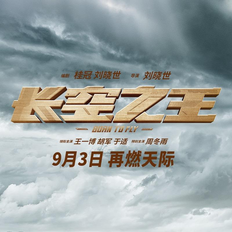 电影长空之王