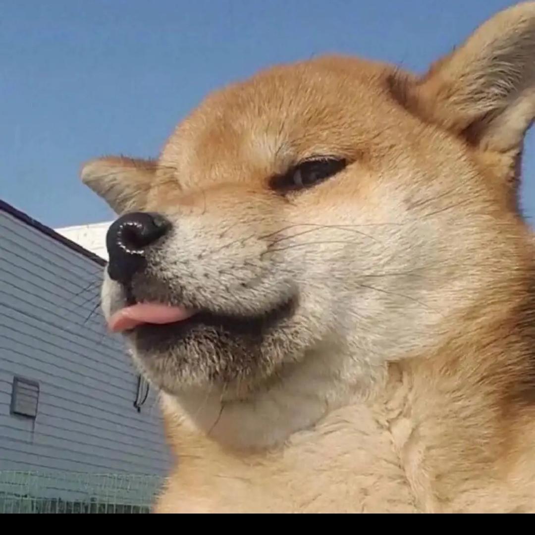 皮皮一下