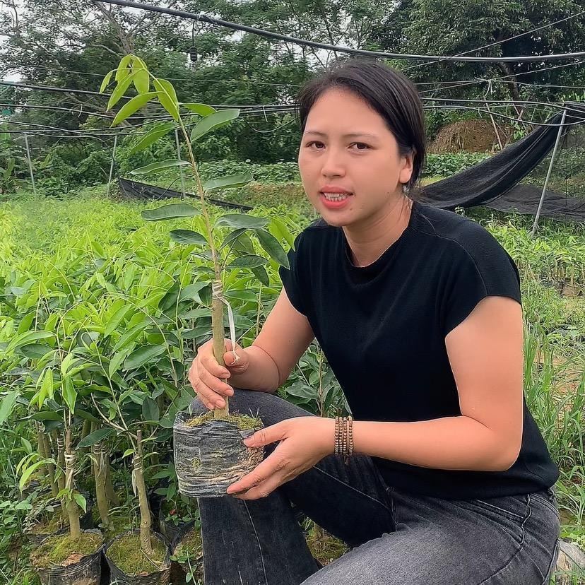 茂名电白奇楠创意工艺品屋