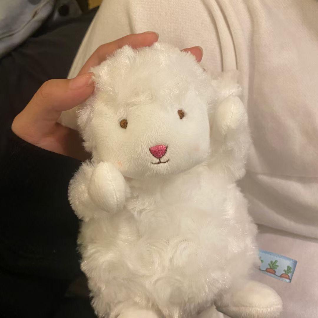 妹妹积木